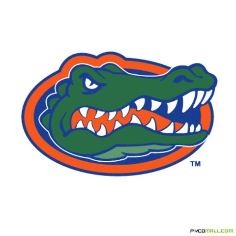 College at Florida soccer scolarship