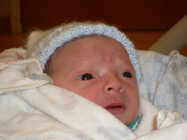 Allison's nephew was born