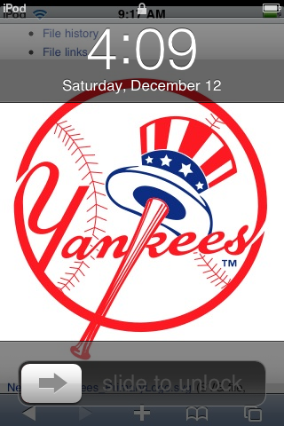 Visit Yankee Stadium