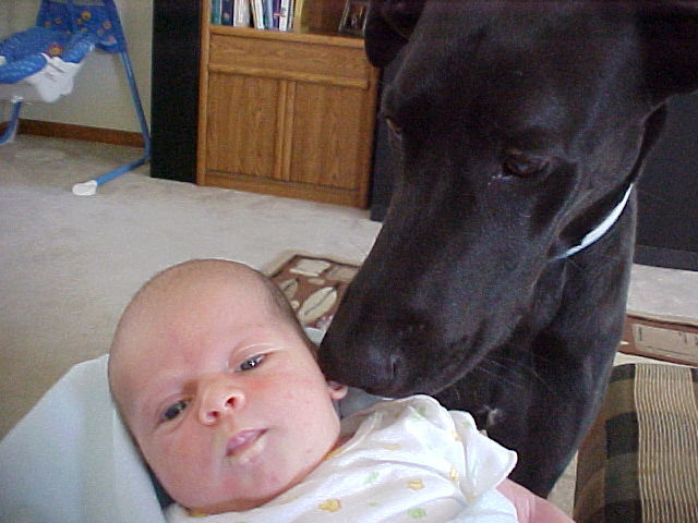 Said Good-Bye to Zoe