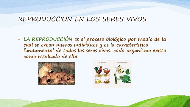 pictograma sobre la reproducción en los seres vivos