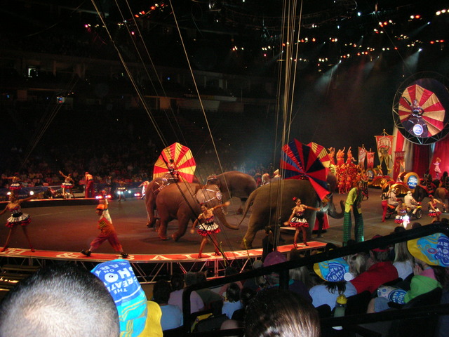 My First Circus!