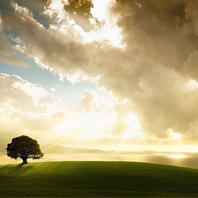 Timeline: La Paz En Colombia