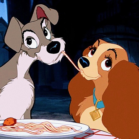 LA DAMA Y EL VAGABUNDO