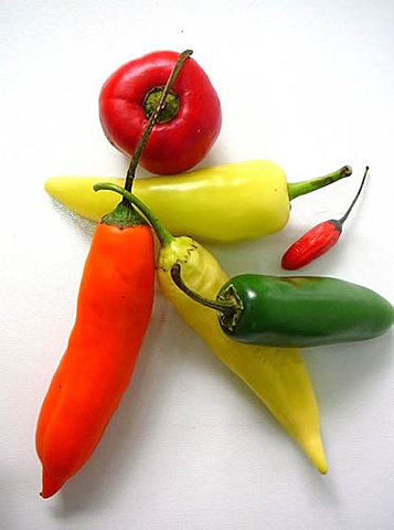 Origen, Características, Siembra y Cultivo del AJI