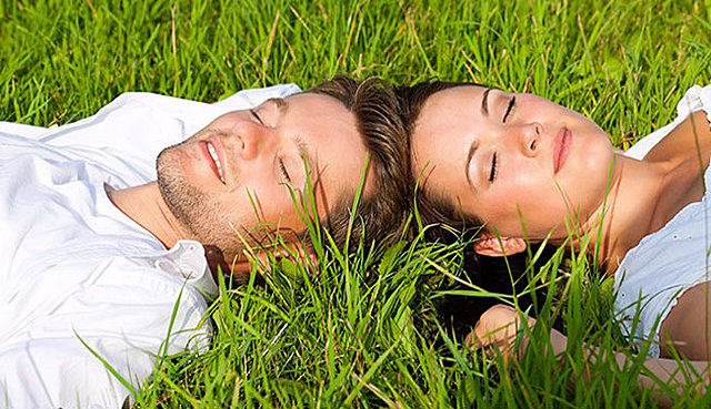 Tradiciones basadas en la racionalidad utilitaria