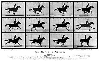 -Fotografía de Muybridge