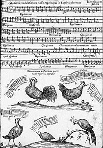 -Imágenes con sonido