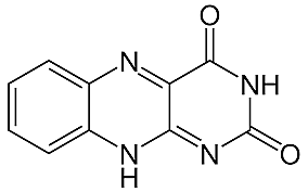 Paul Karrer y Norman Haworth recibieron el Premio Nobel de Química en 1937 por sus trabajos sobre carotenoides, flavinas y vitaminas A y B2.