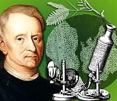 ROBERT HOOKE