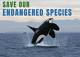 Endangered Species Act