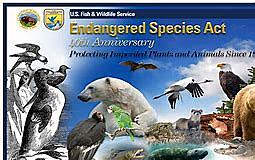 endangered species act