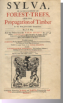 conservation movement