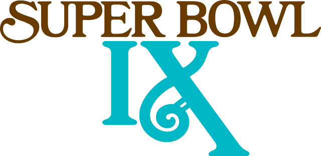 Super Bowl lX