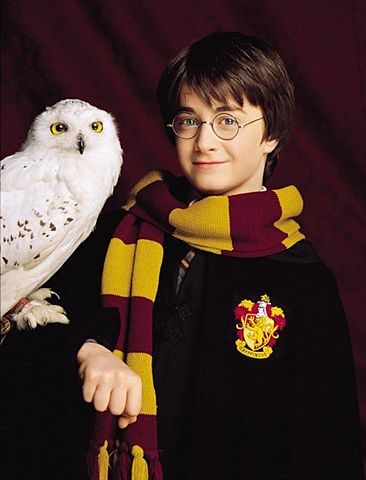 Гарри узнает, что он волшебник