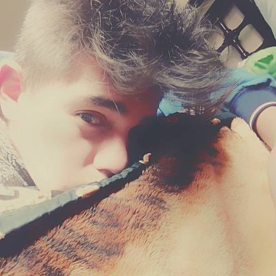 Timeline: Elian  Gerardo Sanchez Jerez