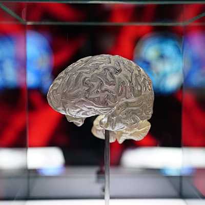 Timeline: Psicobiología: antecedentes históricos