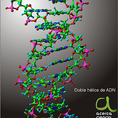 Timeline: Historia de la herencia