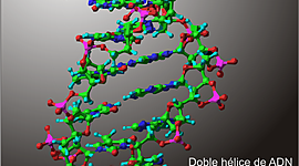 Timeline: Historia de la herencia
