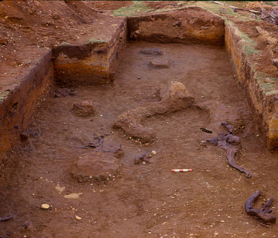 Teoría PreClovis Monte Verde