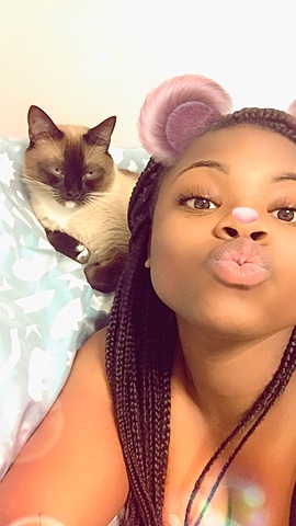 yo tuve mi primeria mascota en séptimo grado