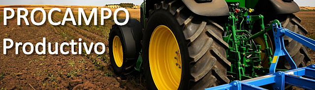 Programa de apoyos directos al campo (PROCAMPO)