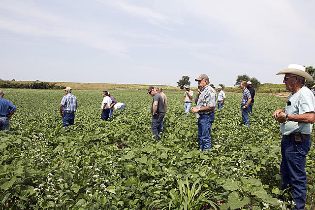 Agricultural Adjustment Act