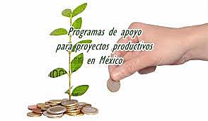 Fondo de apoyos a proyectos productivos agropecuarios (FAPPA)