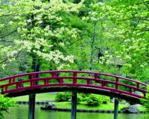 Reflecting on his life