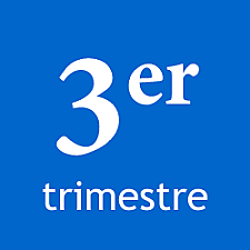 Inicio del tercer trimestre