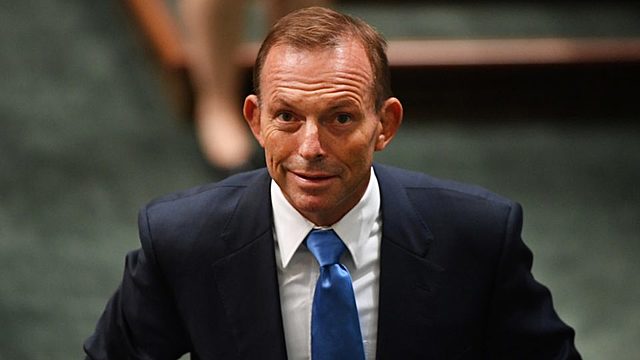 Tony Abbott elected