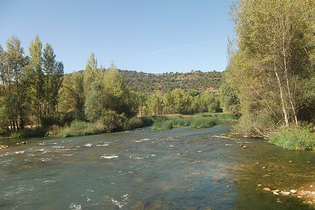 Se crea el Servicio Hidrológico-Forestal