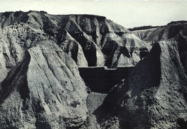 Se crea el servicio Hidrologico-Forestal