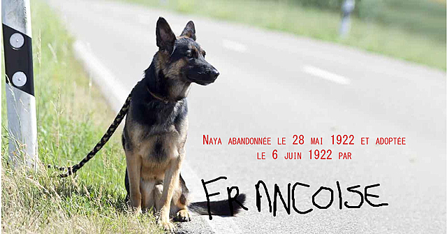 Françoise trouve son 1er chien