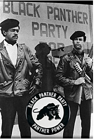 The Black Panther Party