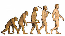 Timeline: Evolución del hombre