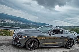 Mustang Shelby GT500 2015