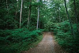 Ir A Mi Primero el campamento en siete