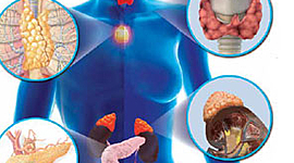 Timeline: Historia de la Endocrinología