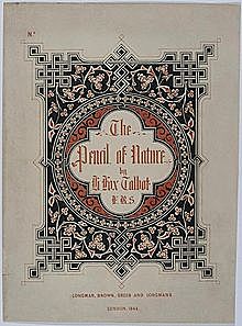 El llàpiç de la naturalesa