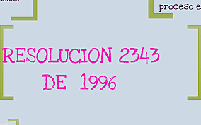Resolución 2343