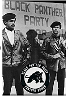 Black Panthers