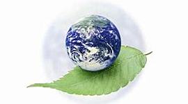 Timeline: Environmental Movement