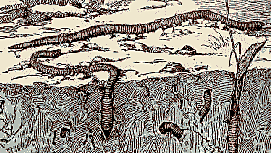 Publica "Sobre la influencia de las lombrices en la formación de la tierra vegetal"