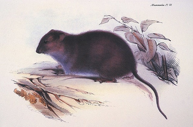 Australia, port de Sydney