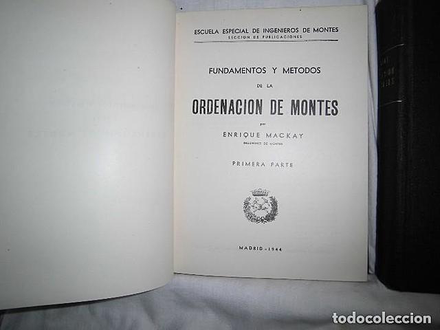 Fundamento y métodos de la ordenación