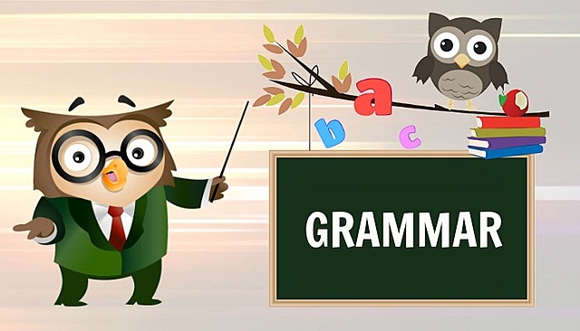 LANGUAGE AND FUNCTION