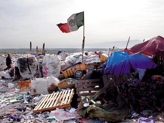 Nace en México el interés y preocupación por los problemas ambientales.Se incorpora de una manera que no es oficial la temática ambiental a programas escolares con enfoque ecológico o de geografía