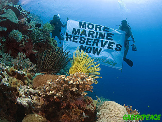 World's Largest Marine Reserve Declared