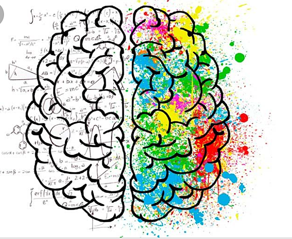 La naturaleza social y política (384 - 322 a.C)